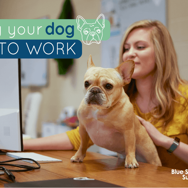 Bring Your Dog to Work