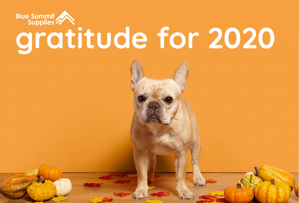 BSS Gratitude for 2020