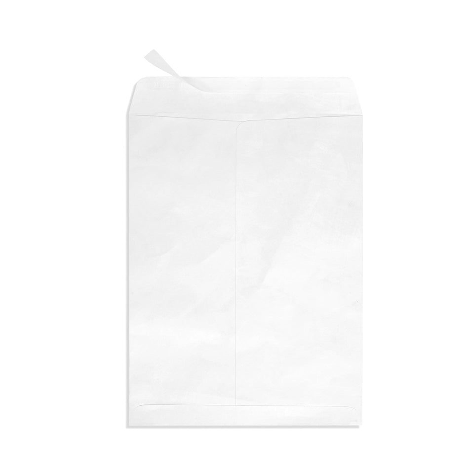 100 9x12 Tyvek Envelopes, Self Seal 9 x 12 Catalog Mailer, Ultra Strong 14lb Tear Resistant Material, Designed for Secure Mailing, Strong Peel and Seal Flap, 100 Envelopes Blue Summit Supplies 